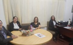 comite curricular