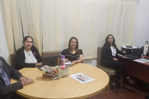 comite curricular