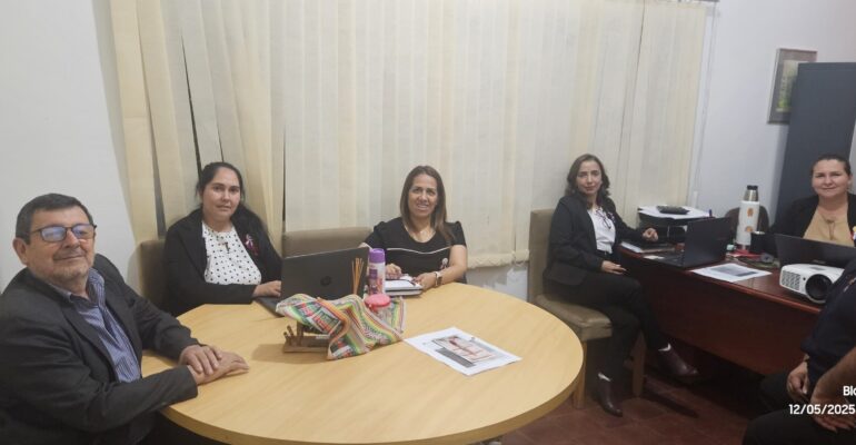 comite curricular