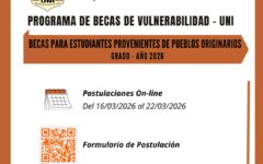 beca vulnerabilidad pueblos originarios