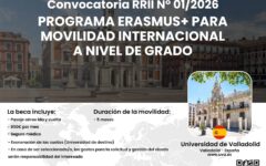 Convocatoria RRII N° 012026