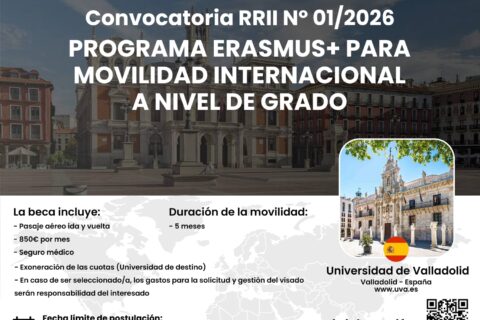 Convocatoria RRII N° 012026